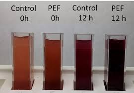 Effekten PEF har ved pigmentekstraksjon fra druer 