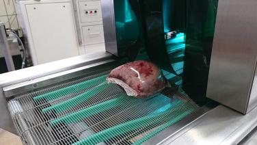 Picture of shrink wrapped beef sample
